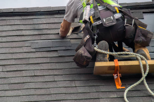 Best Metal Roofing Contractor  in Marion, MS