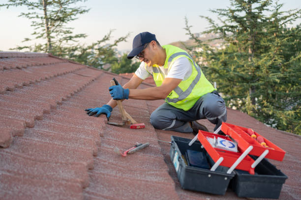 Best Local Roofing Companies  in Marion, MS